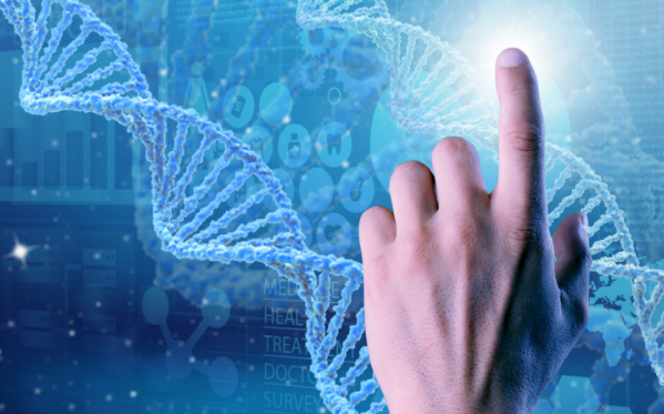 Establishing Digital University